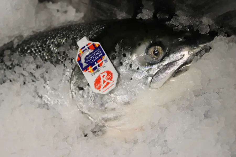 Scottish salmon with Label Rouge
