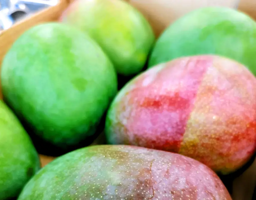 Mangos vom Familienbetrieb