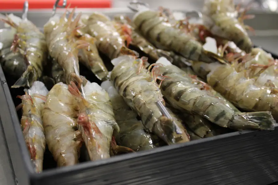 The prawn, before cooking