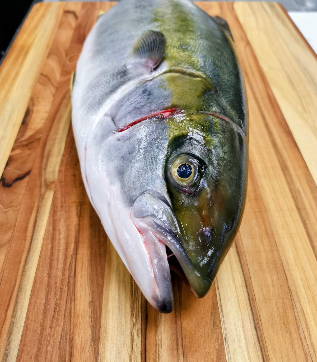Ganzer Hamachi, wie er ankommt