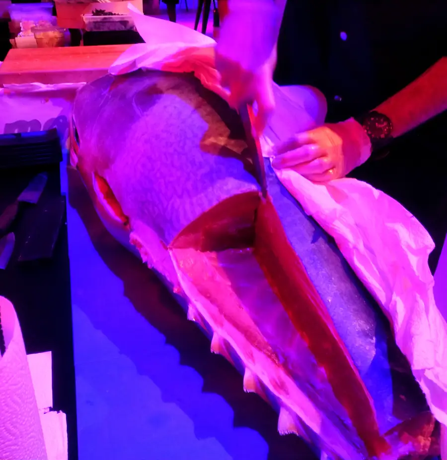A whole tuna, first cut