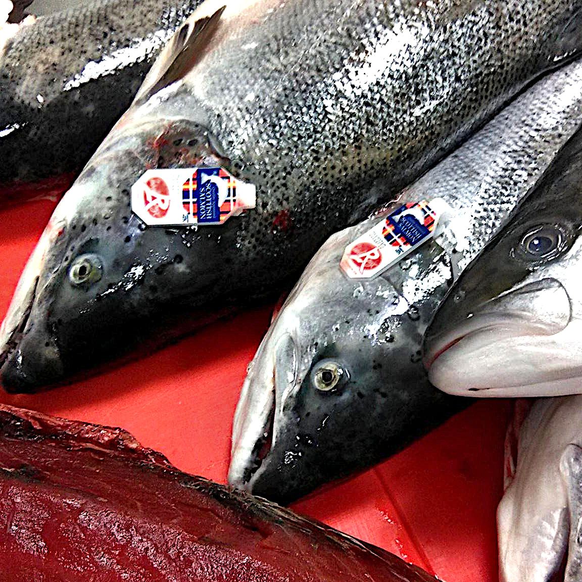 Lachs mit Label-Rouge-Siegel, vom Rungis-Markt