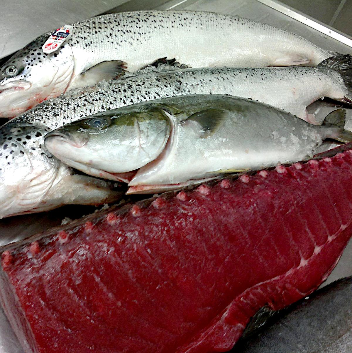 Hamachi und Maguro in der Vitrine